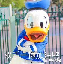 吃瓜神图,一场视觉盛宴与真相探寻之旅