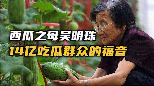 全靠吃瓜度日,揭秘网络时代的“瓜民”生活