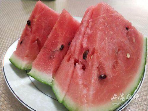 上海骨科博士吃瓜,一场跨界体验的趣味探索