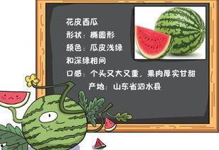 吃瓜又吃瓜小说免费阅读,免费阅读吃瓜小说背后的故事