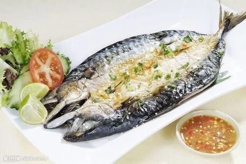 青花鱼吃瓜,一场别开生面的海洋盛宴