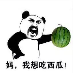 吃瓜都吃不完,吃瓜都吃不完的奇妙体验