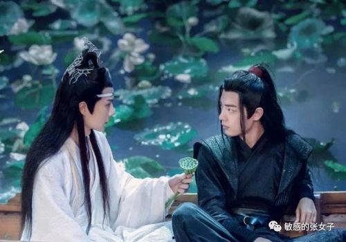 陈情令吃瓜,揭秘娱乐圈的甜蜜瓜田