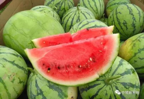 冰淇吃瓜,尽享清凉美味之旅