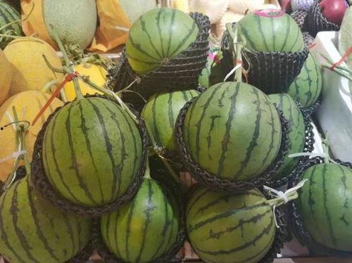 吃瓜包浆,探寻吃瓜包浆的独特魅力