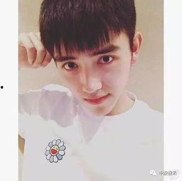 陈飞宇肖战吃瓜,揭秘娱乐圈背后的真相与传闻