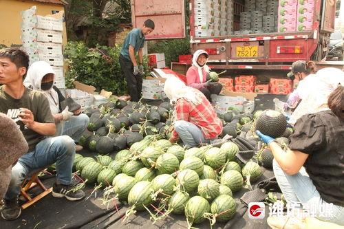 站在吃瓜前线,揭秘娱乐圈最新热点事件