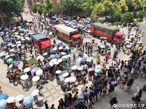 吃瓜图片车排队,一场别开生面的排队奇观