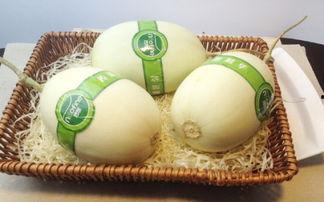 吃白玉瓜嘴巴痒,揭秘神秘食材背后的奇妙反应