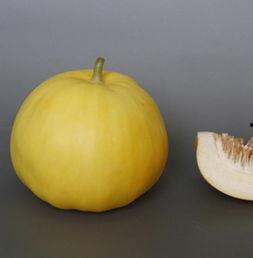 宫外孕吃哈密瓜,天然食疗新选择