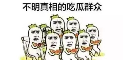 吃瓜群众玫瑰难过,玫瑰难过背后的故事
