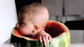 西萌瓜怎么吃,解锁美味新体验