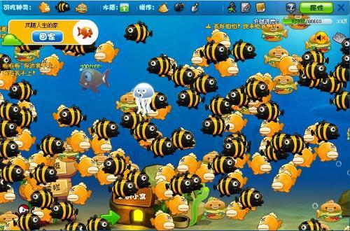 迅雷吃瓜小鱼在线观看,揭秘网络热剧背后的故事